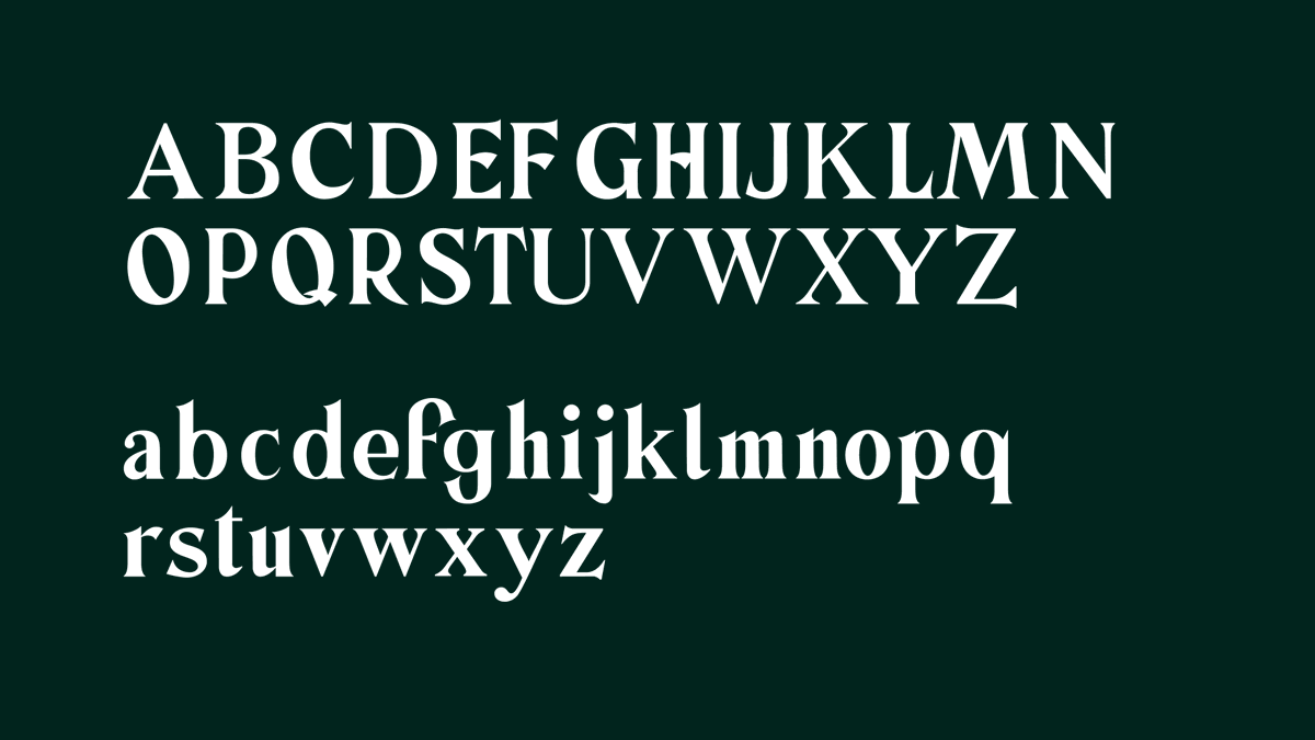 TYPOGRAPHY preview 2